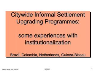 Citywide Informal Settlement Upgrading Programmes: some experiences with institutionalization - 2013