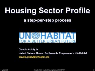 Housing Sector Profile - a step-per-step process - short version - 2012