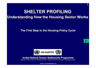Shelter Profiling - Understanding How the Housing Sector Works - The First Step in the Housing Policy Cycle - 2008