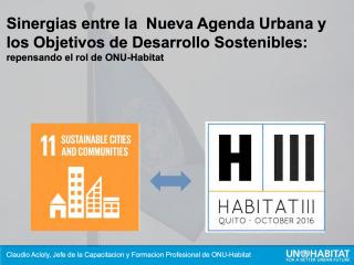 Sinergias entre la Nueva Agenda Urbana y los Objetivos de Desarrollo Sostenibles: Repensando el rol de ONU-Habitat - 2016